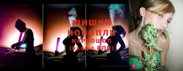 ПСИЛОЦИБИНОВЫЕ ГРИБЫ Аркадак