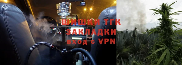 ПСИЛОЦИБИНОВЫЕ ГРИБЫ Аркадак