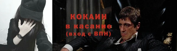 сатива Армянск