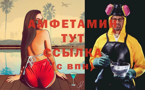 сатива Армянск