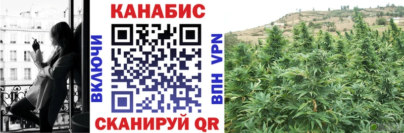 Бошки Шишки White Widow  купить закладку  Магас 